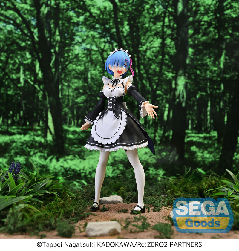 Re: Zero - rem - Salvation Figurizm Figure (Sega)