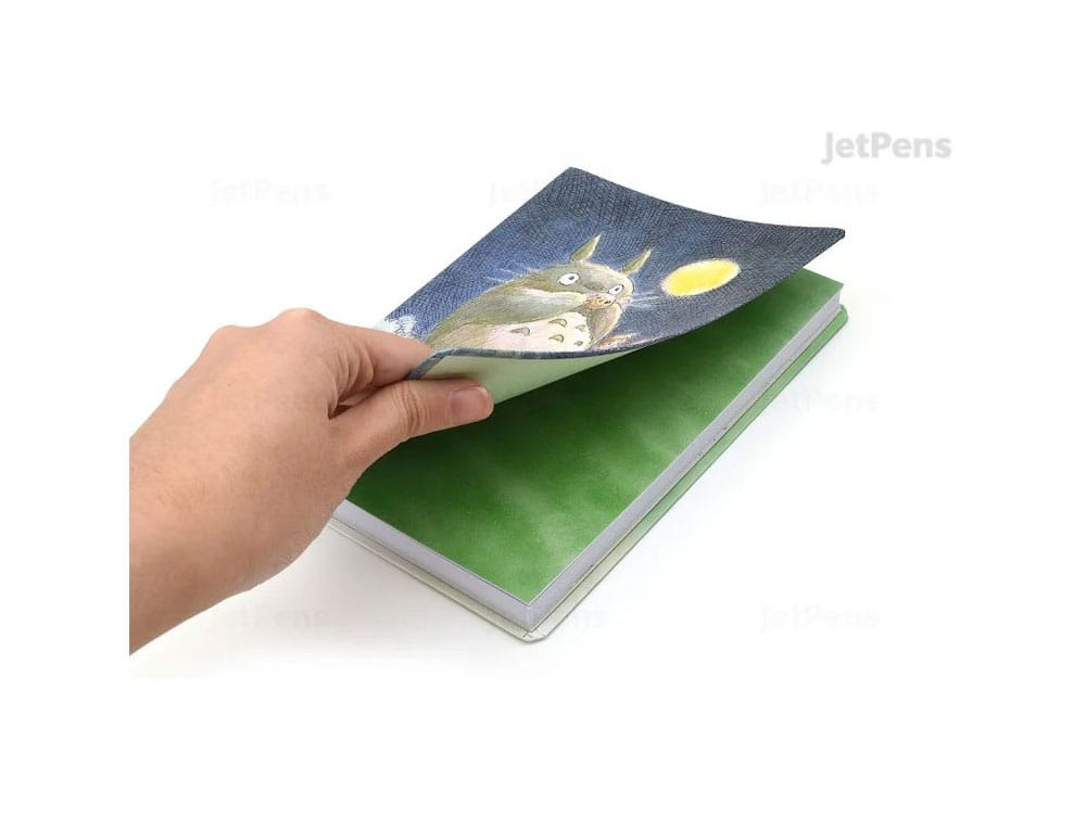 Mein Nachbar Totoro - Notizbuch - Totoro Flexi (Chronicle Books)