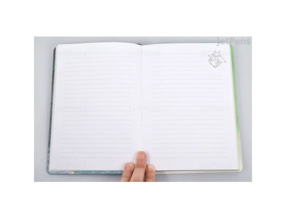Mein Nachbar Totoro - Notizbuch - Totoro Flexi (Chronicle Books)